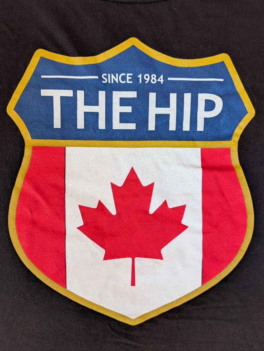 Tragically Hip T-shirt Adult Large Canadian Music Band Concert Festival Black